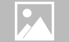 尼克斯队球员名单