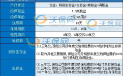 北大方正保险