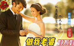 做我老婆好不好 mp3,深情旋律中的爱情承诺