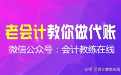 代帐会计,财务管理的专业守护者