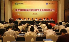 重庆市烟草公司,重庆市烟草公司发展历程与市场布局概览