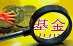 基金570001,投资策略与市场表现解析