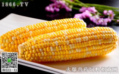四川玉米价格,四川玉米价格波动分析