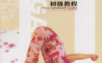 瑜伽初级教程,轻松入门教程全解析