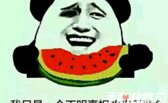 娱乐吃瓜酱专属梗,网络热梗背后的趣味与思考
