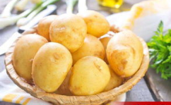 娱乐吃瓜小金土豆,揭秘吃瓜群众背后的土豆人生