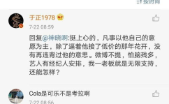 娱乐圈吃瓜观后感,揭秘明星背后的真相与争议