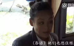 娱乐圈吃瓜许晴,娱乐圈的瓜田，她如何成为焦点？