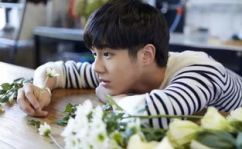 娱乐吃瓜酱龙凤胎,揭秘龙凤胎背后的明星育儿经