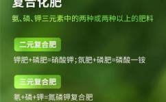 中国农资网化肥专网,助力农业发展，保障粮食安全