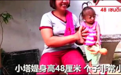 娱乐吃瓜阿姨视频大全下载,揭秘娱乐圈幕后故事