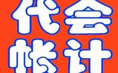 代帐会计,财务管理的专业守护者