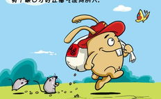 娱乐吃瓜小兔兔小说,小兔兔的吃瓜日常