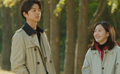 穿书吃瓜娱乐圈小说