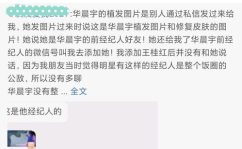 娱乐吃瓜站完整版,娱乐吃瓜站完整版深度解析