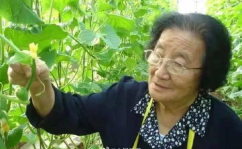 娱乐吃瓜酱善良的人是谁,探寻网络红人的真实一面