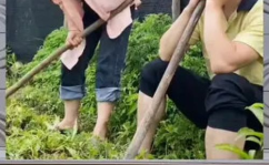 娱乐八卦吃瓜群众1,揭秘“吃瓜群众1”背后的故事