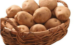 娱乐吃瓜小金土豆,揭秘吃瓜群众背后的土豆人生