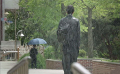 梦见淋雨,淋雨的寓意与预兆