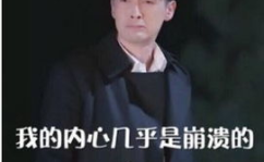 吃瓜小说娱乐圈柳小八,娱乐圈的瓜田小仙女