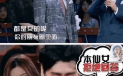 娱乐圈吃瓜钱枫视频合集,盘点明星幕后趣事