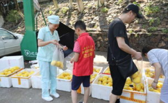 娱乐吃瓜酱贫困户,揭秘贫困户背后的真实故事