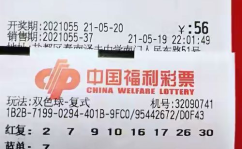 双色球55期预测,预测揭秘，红蓝球号码大猜想