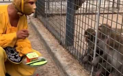 娱乐吃瓜酱猴,揭秘娱乐圈那些不为人知的幕后故事