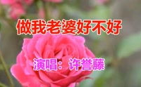 做我老婆好不好 mp3,深情旋律中的爱情承诺