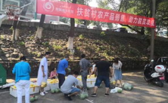 娱乐吃瓜酱贫困户,揭秘贫困户背后的真实故事