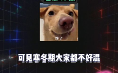 娱乐吃瓜圈,揭秘明星幕后故事与热点事件