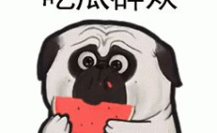 搞笑娱乐吃瓜君是谁啊,网络红人的崛起之路