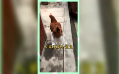 吃瓜群众的娱乐网名,揭秘吃瓜群众的娱乐网名背后的故事