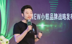 达鸿飞,科技巨擘的崛起与未来展望
