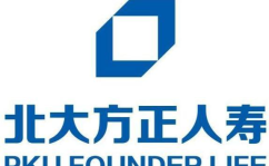 北大方正保险