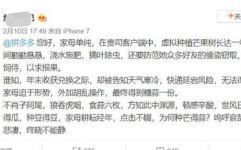 娱乐吃瓜酱文言文