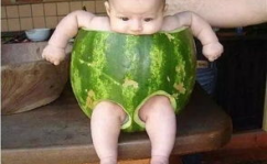 娱乐爆笑室吃瓜,吃瓜群众狂欢盛宴