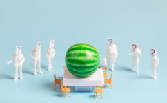 吃瓜娱乐百科大全,揭秘娱乐圈背后的秘密与趣闻