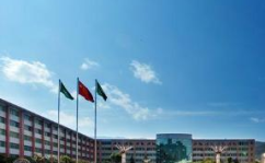 重庆市烟草公司,重庆市烟草公司发展历程与市场布局概览