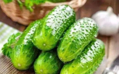 一枝花娱乐吃瓜,揭秘娱乐圈吃瓜背后的真相