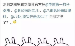 吃瓜娱乐百科大全,揭秘娱乐圈背后的秘密与趣闻