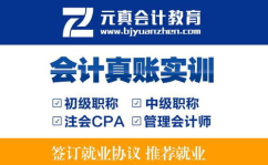 代帐会计,财务管理的专业守护者
