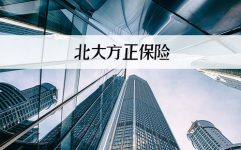 北大方正保险