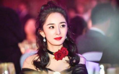 明星吃瓜娱乐间,揭秘娱乐圈幕后故事