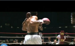 吃瓜娱乐拳击视频,吃瓜娱乐拳击视频大盘点