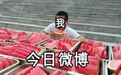 娱乐有料吃瓜,吃瓜群众必看的料事大全