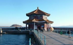 青岛旅游报价,畅游海滨城市，体验多元风情