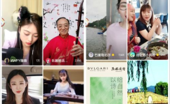 娱乐圈吃瓜冰雨直播视频,一场吃瓜盛宴