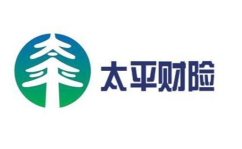 太平财产保险公司,百年历史，民族保险企业的辉煌历程与未来展望”