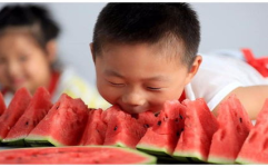 外国人吃中国娱乐圈的瓜,瓜田李下，揭秘明星幕后故事